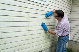 Best Siding Repair  in Honolulu, HI